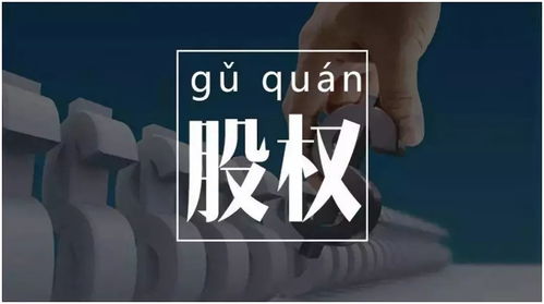 高净值人群投资偏好与凌集团资产管理之道